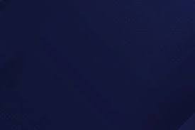 2025 赛季：底特律老虎队王牌斯库巴尔凭借统治级表现，全票当选美联赛扬奖